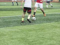 傅园慧,王懿律加盟,浙大,亚博体育,亚博体育官网,亚博体育app,亚博体育下载