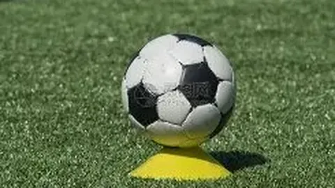 罗马2-0恩波利意甲第7轮 姆希塔良双响佩莱格里尼贡献进球