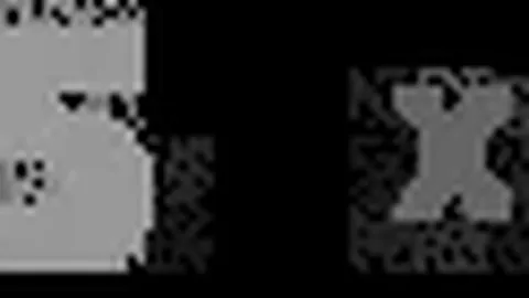 中超赛场激情绽放：球迷热情助力，姆本扎梦想成真刻印辉煌！