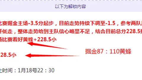 电讯报分析：大乐透期号专家推荐，卡里克留任依据增